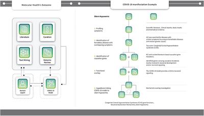 The COVID-19 explorer—An integrated, whole patient knowledge model of COVID-19 disease